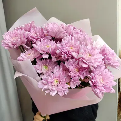 Pink Cloud Chrysanthemum Bouquet