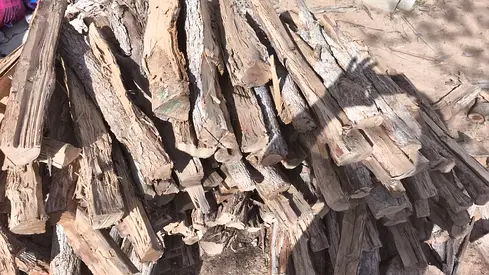 Bundle of Seasoned Firewood Logs - Ready to Burn