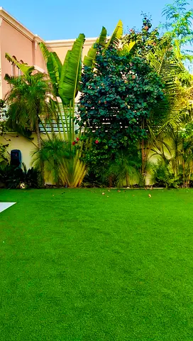 Well-kept artificial grass lawn — ready to install/replace