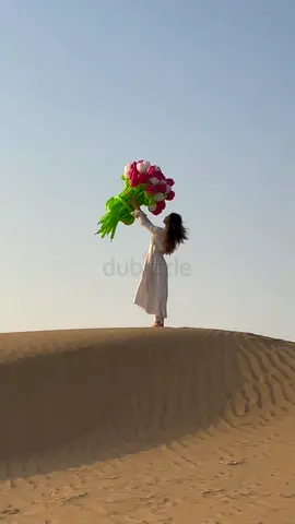 Short video content for Instagram (iPhone) in Dubai