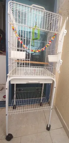 2 Bird Cages One with Stand