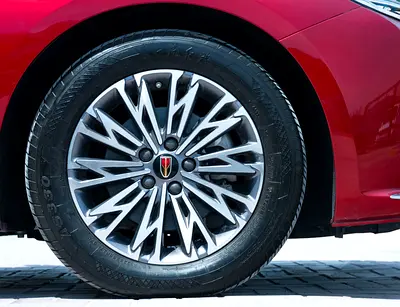 Hongqi Ousado Luxury, миниатюра 8