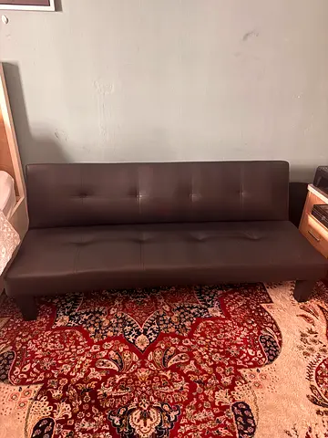 Sleeper Couch