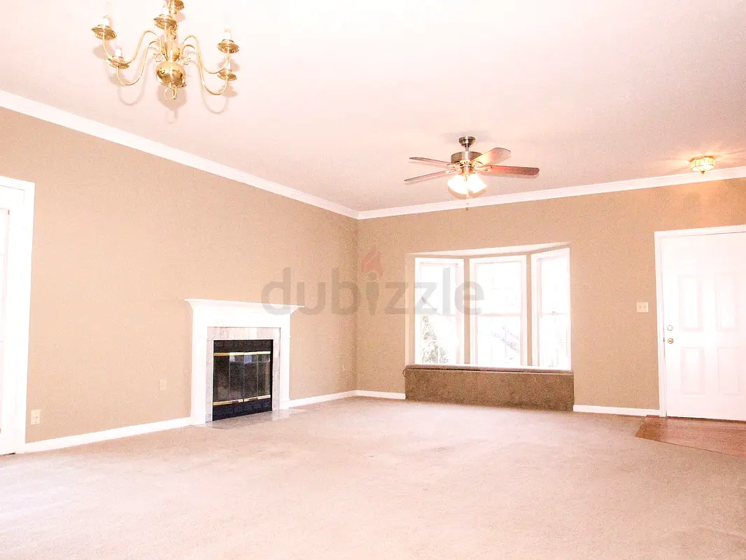 DPV_View_Image_4