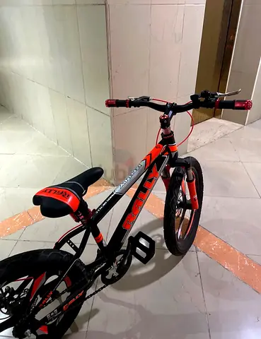Orange  Black Bicycle