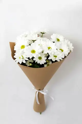 Gentle Charm Daisy Bouquet