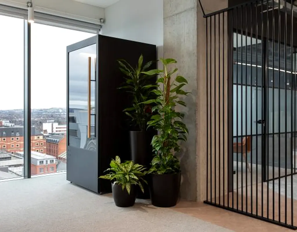DPV_View_Image_8