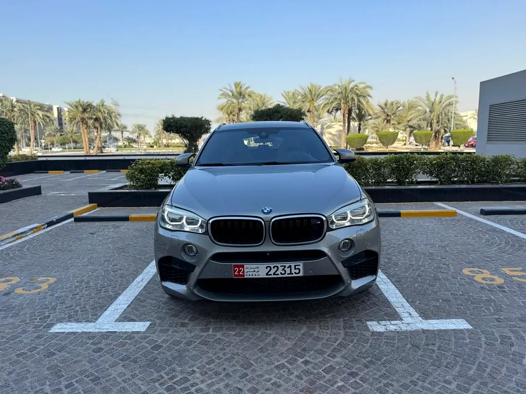 BMW X6 2016 — photo 1 of 17