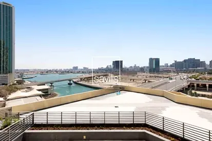 Canal and Cleveland Clinic Views | No Commission