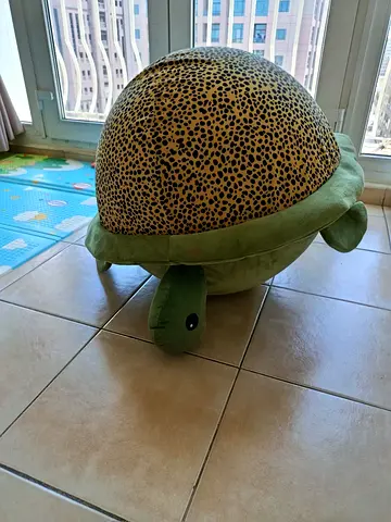 Turtle Ball Toy(Large)/ Soft Play Turtle Cover – Kids Room Toy