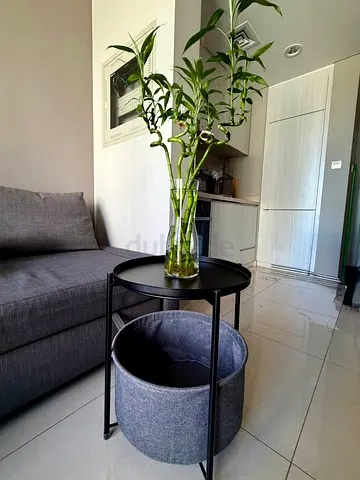 2-Tier Round table with Bamboo Plants