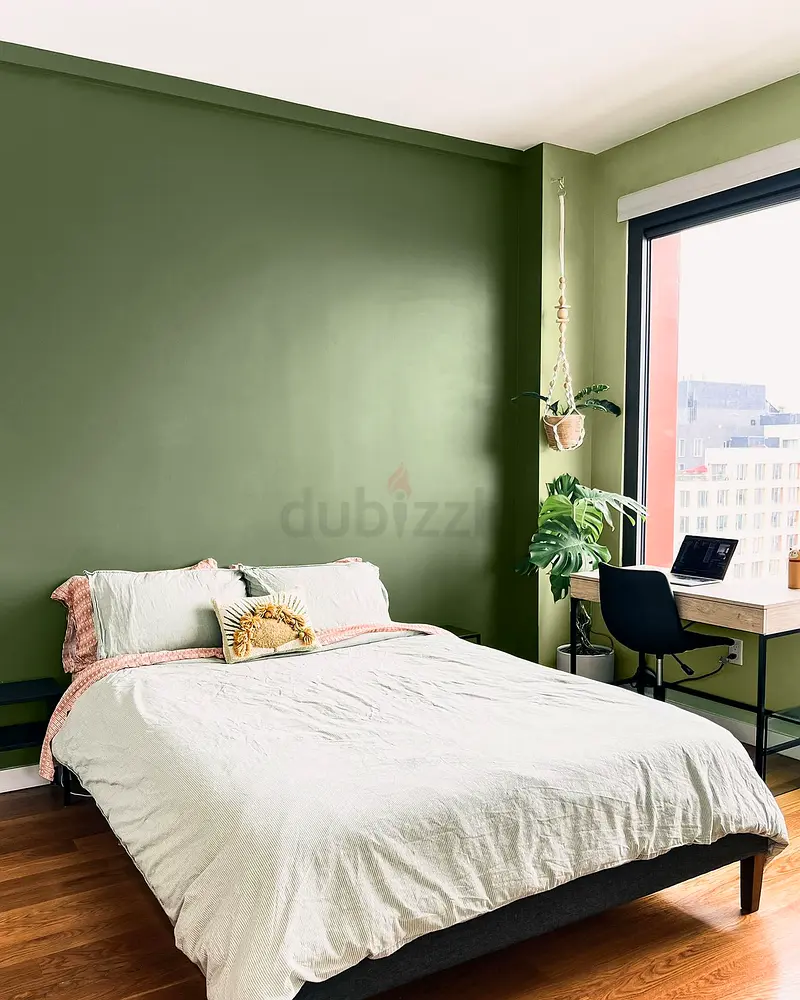 DPV_View_Image_5