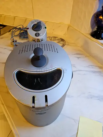 Professional oval fryer