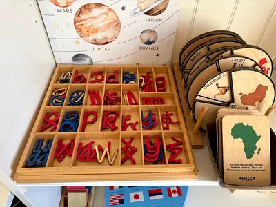 Wooden Montessori moveable letters