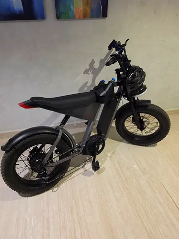 Windhorse D3 Electric bike