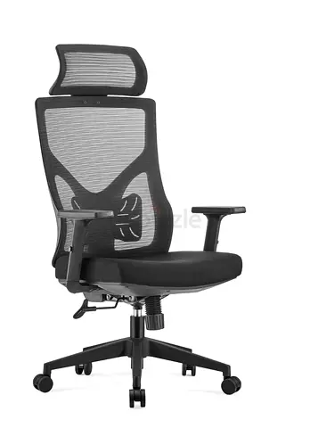 Ergonomic High-Back Mesh Executive Chair with Adjustable Headrest  Lumbar Support