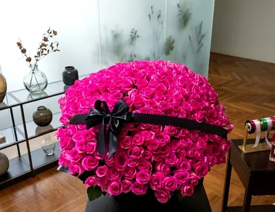 301 Elegance