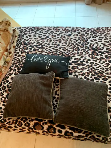 Sofa pilow