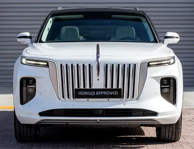 Hongqi E-HS9 Executive, миниатюра 5