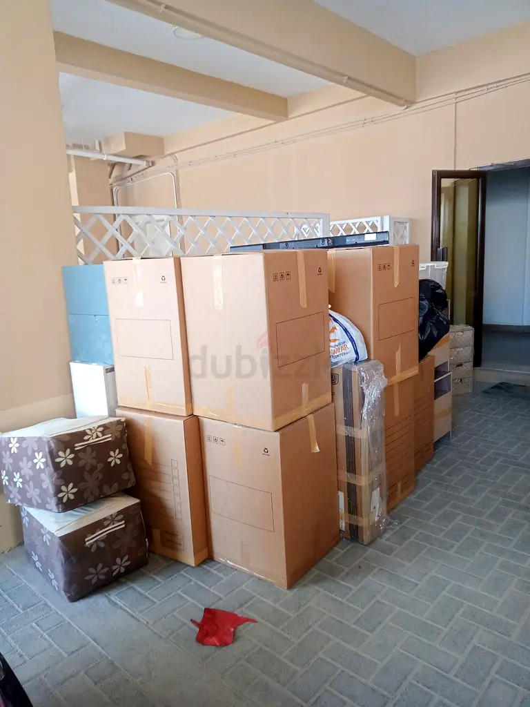 DPV_View_Image_2
