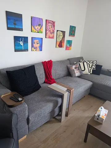Living room Corner Sofa with Box