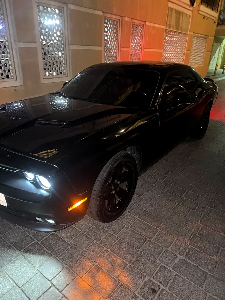 Dodge Challenger 2019 — photo 1 of 8