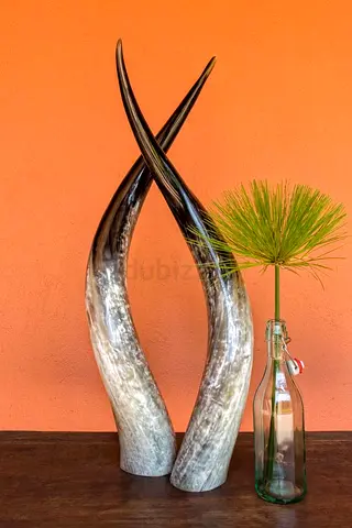 Pair of Decorative Long Horns (Buffalo/Antelope) - Natural