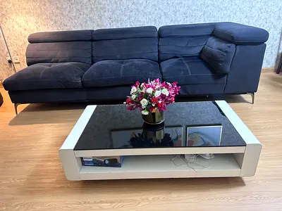 Sofa and Modern Low-Profile Coffee Table with Glass Top