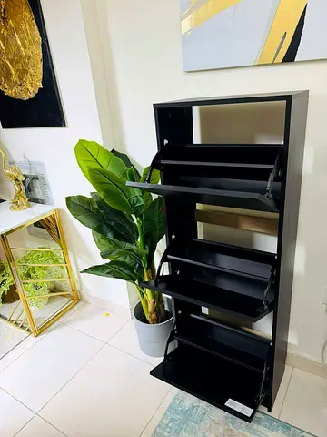 Ikea shoe cabinet