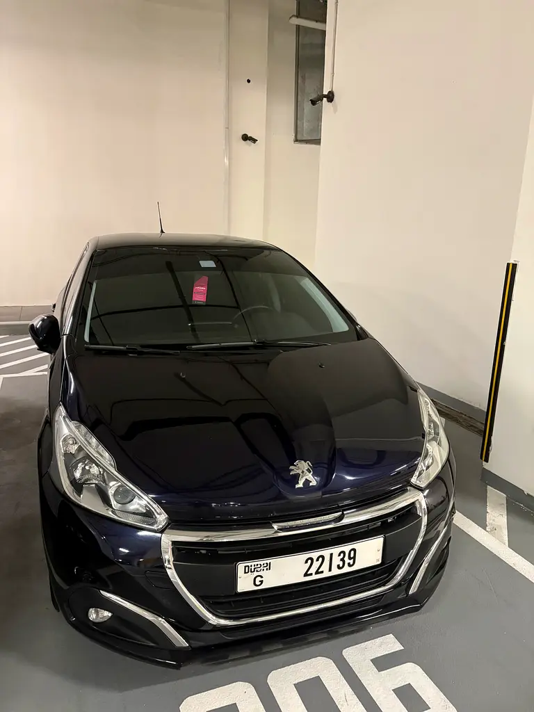 Peugeot 208 2019 — photo 1 of 8