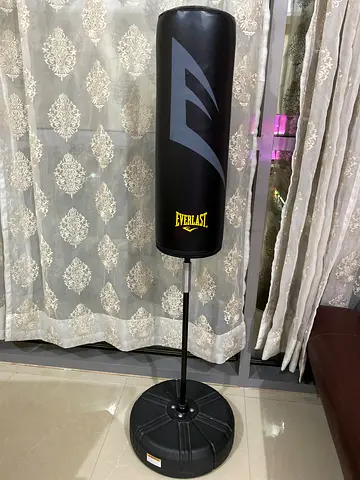 Punching Bag Everlast