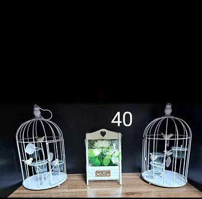Bird cage set