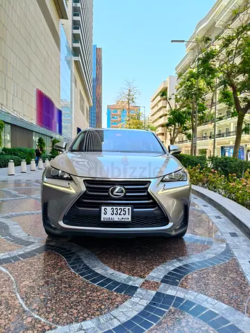 Lexus NX200t Gulf Space with Very neat and clean out inside