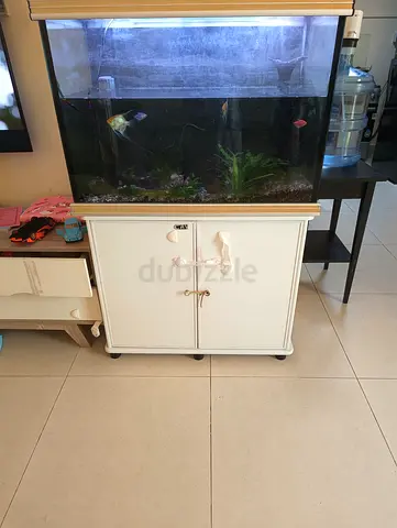 Used 80-100cm Aquarium Tank with Cabinet and Filter (Includes Plants  Fish)