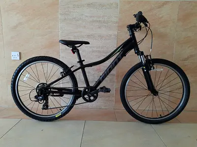 Giant XTC JR 24 Kids Mountain Bike 8 to 12 Years