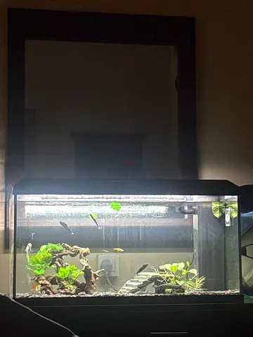 Used 90cm Glass Aquarium Tank with Stand and Accessories