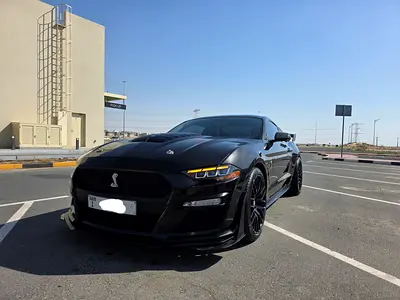 Amazing Mustang GT V8 2018 Shelby Body Kit