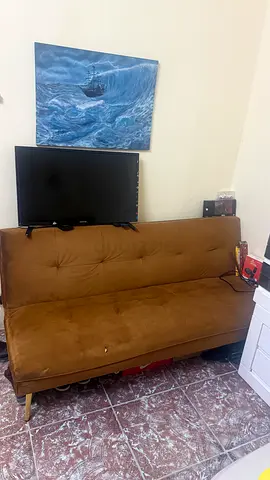 Sofa-cum- Bed