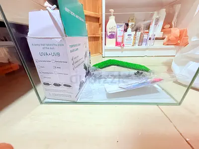 Turtle tank