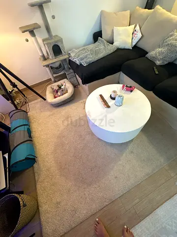 Beige Plush Area Rug - Good Condition.