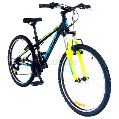 Spartan Bicycle mountain bicycle Galaxy 24