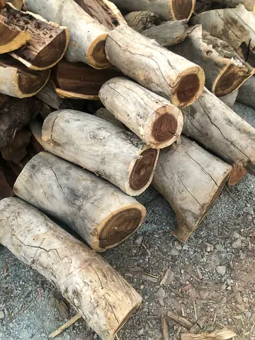 حطب تنور حطب سمر للبيع حطب للتنور للبيع