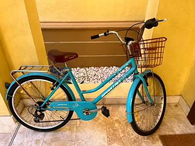 City bike