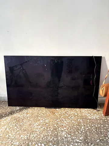 55-inch LG OLED 2024 TV- without remote control