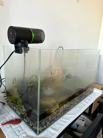 Used 60cm Glass Aquarium Tank with External Filter (needs cleaning)