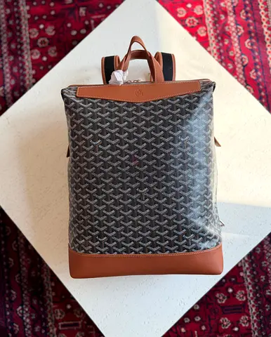 Goyard Cisalpine backpack 🎒