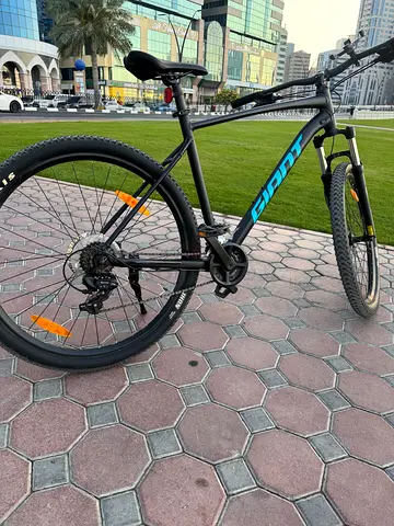 Used GIANT Mountain Bike - 29 XL SIZED with Maxxis tires- Hybrid/Off-road Bicycle