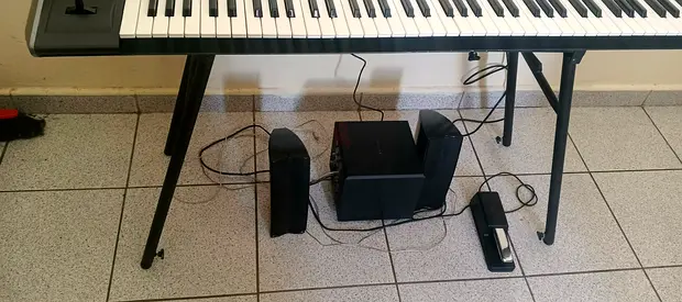 Casio 61-Key Electronic Keyboard with Speakers and Sustain Pedal