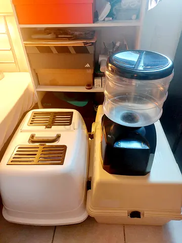 For Sale! Automatic Feeder, Pet Carrier, Litter Box