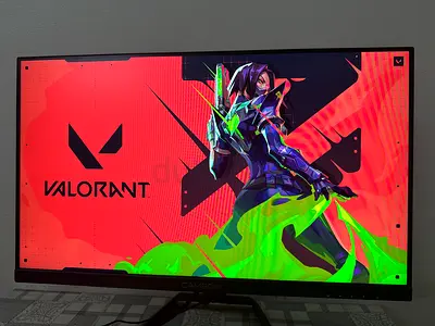 24-inch GameOn 165Hz Gaming monitor FHD+ Monitor (Nvdia Gsync and AMD free sync)- Used Once